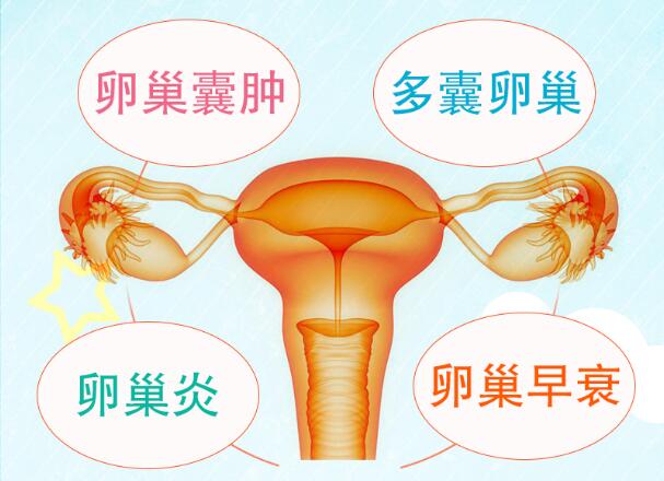 卵巢早衰会有哪些信号