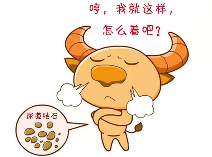 草莓牛奶会导致尿结石吗