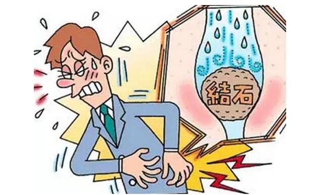介绍五种食疗方来缓解尿结石