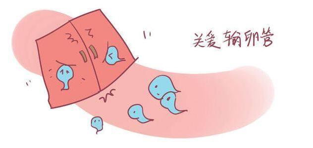 输卵管堵塞需要做什么检查