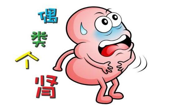 肾结石忌口的食物有哪些
